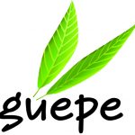 GUEPE